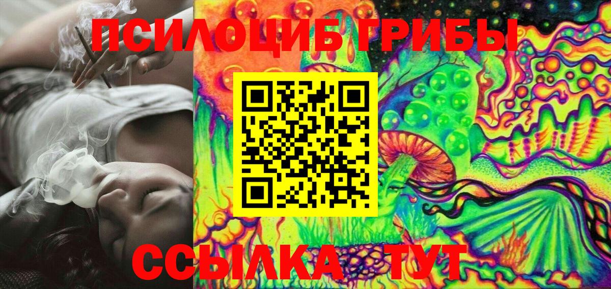 Галлюциногенные грибы Psilocybe Зерноград
