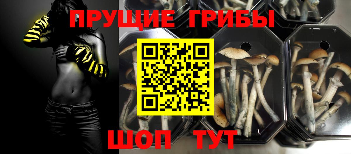 Галлюциногенные грибы Magic Shrooms  Вход с VPN  Псилоцибиновые грибы Magic Shrooms  Зерноград 